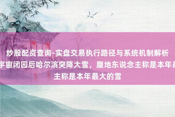 炒股配资查询-实盘交易执行路径与系统机制解析 冰雪大宇宙闭园后哈尔滨突降大雪，腹地东说念主称是本年最大的雪