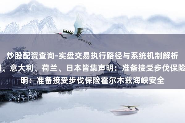 炒股配资查询-实盘交易执行路径与系统机制解析 法国、英国、德国、意大利、荷兰、日本皆集声明：准备接受步伐保险霍尔木兹海峡安全