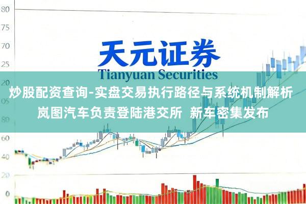 炒股配资查询-实盘交易执行路径与系统机制解析 岚图汽车负责登陆港交所  新车密集发布