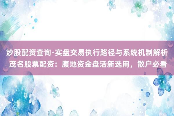 炒股配资查询-实盘交易执行路径与系统机制解析 茂名股票配资：腹地资金盘活新选用，散户必看