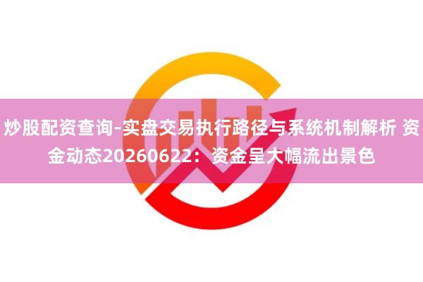 炒股配资查询-实盘交易执行路径与系统机制解析 资金动态20260622：资金呈大幅流出景色